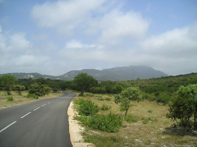 De la garrigue au pic Saint-Loup, le territoire communal - Cazevieille (34270) - Hérault