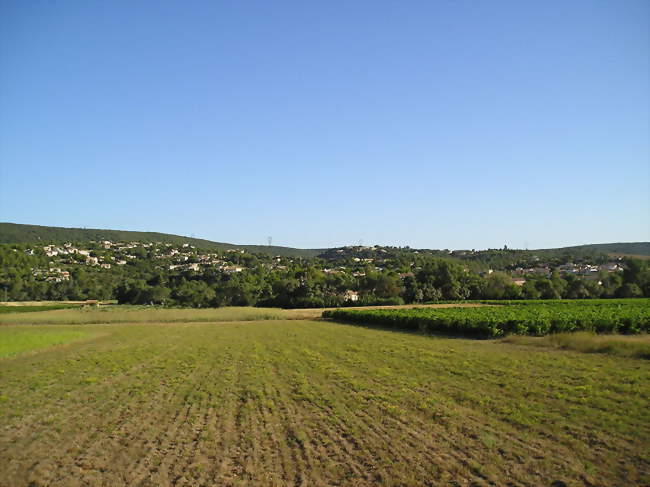 LES FESTIVITÉS DE L'OULIVIE