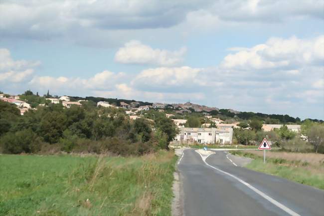 Vue générale - Cournonsec (34660) - Hérault