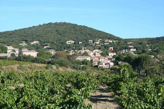 Faugères - Faugères (34600) - Hérault