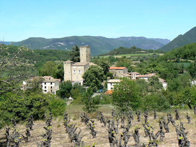 Panorama de Fozières - Fozières (34700) - Hérault