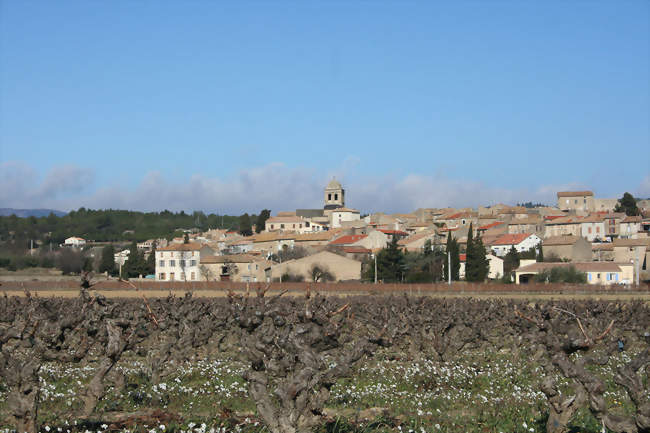 Vue générale de La Livinière - La Livinière (34210) - Hérault