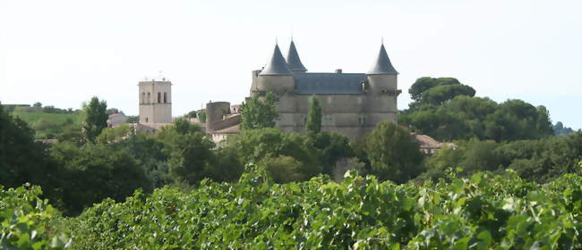 Vue générale - Margon (34320) - Hérault