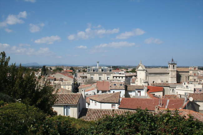 vue générale depuis la motte - Mauguio (34130, 34280) - Hérault