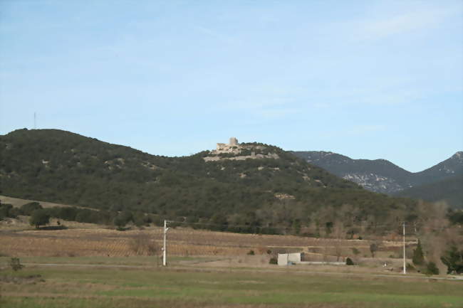 Le Castellas - Montoulieu (34190) - Hérault