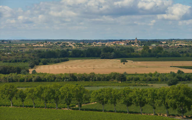 Vue générale depuis l'est - Nézignan-l'Évêque (34120) - Hérault