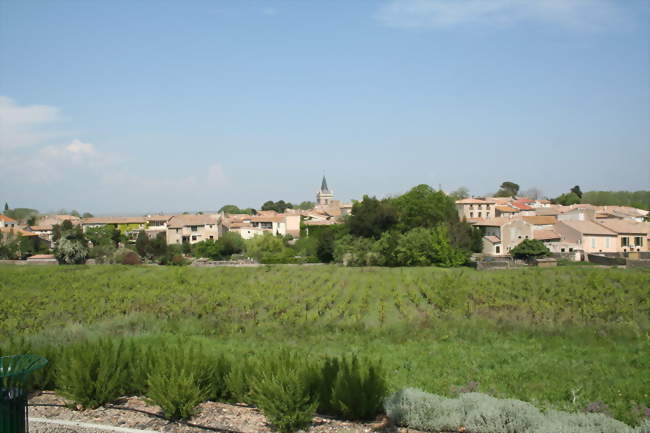 Vue générale - Nizas (34320) - Hérault