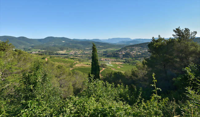 Vue générale - Pierrerue (34360) - Hérault