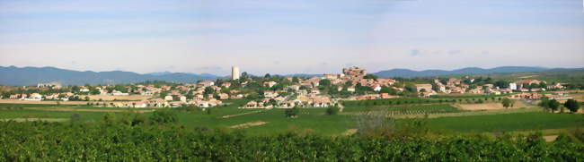 Vue générale de Puissalicon - Puissalicon (34480) - Hérault