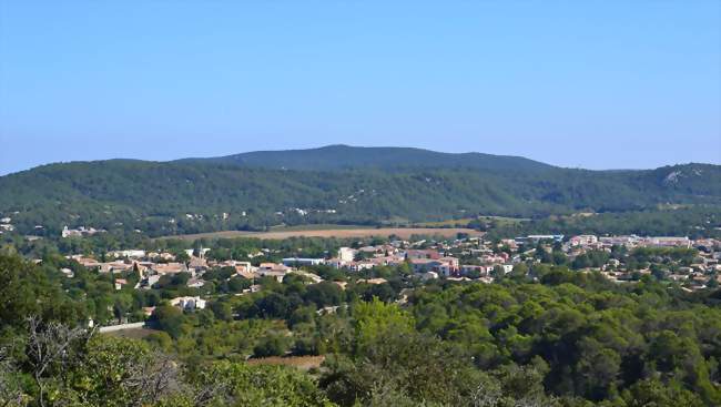 FÊTE DE LA NATURE