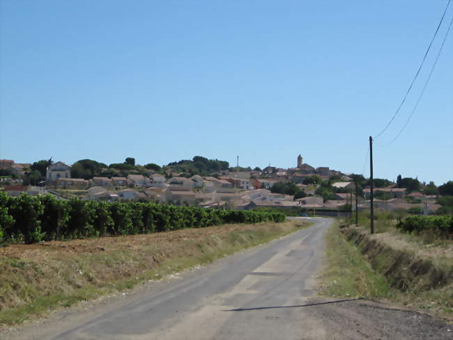 Thézan-lès-Béziers - Thézan-lès-Béziers (34490) - Hérault