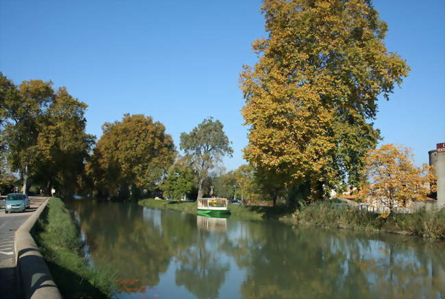 BB LECTEURS - MÉDIATHÈQUE DE VILLENEUVE-LÈS-BÉZIERS