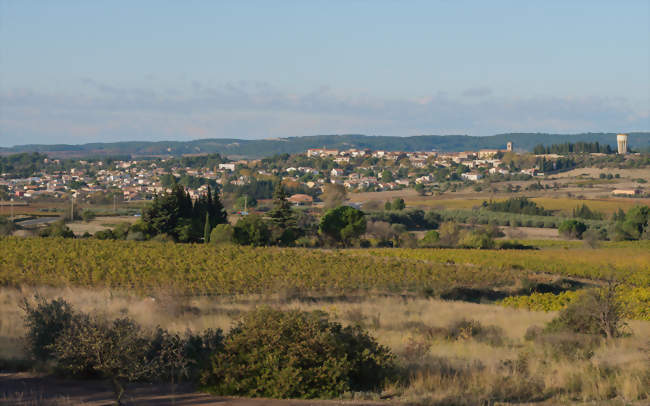 Vue générale - Villeveyrac (34560) - Hérault