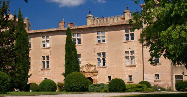 Château de Cambous - Viols-en-Laval (34380) - Hérault