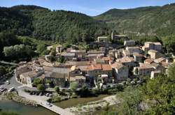 photo EXPOSITION D'AVRIL A AVENE : FLOR'AVENE