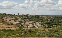 photo 10 ANS DU LOUP DE CASTELNAU DE GUERS