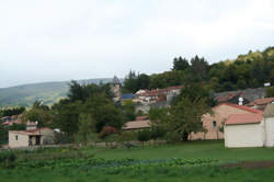 ESPÈCES EMBLÉMATIQUES DU HAUT-LANGUEDOC