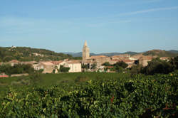 photo PIQUE-NIQUE CHAMPÊTRE AU DOMAINE DE CADABLÈS