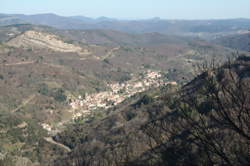 photo MARCHE TRADITIONNEL GRAISSESSAC