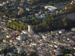 photo ANIMATION / DECOUVERTE ENVIRONNEMENT : ESCALADE EN CHENE MAJEUR - Copie