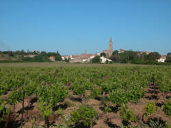 photo L'HISTOIRE DU CHÂTEAU DE PERDIGUIER