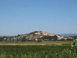 photo BALADE AU FIL DES VIGNES À MONTADY