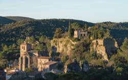 photo ANIMATION / DECOUVERTE ENVIRONNEMENT : UN FESTIVAL DE BIODIVERSITE NOCTURNE A MOUREZE