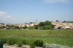 photo VISITE DE NIZAS ET DU SENTIER DE SAINTE-PERPÉTUE