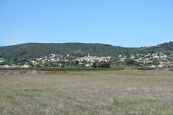 photo VENDANGEUR D'UN JOUR : DOMAINE DE L'ASTER