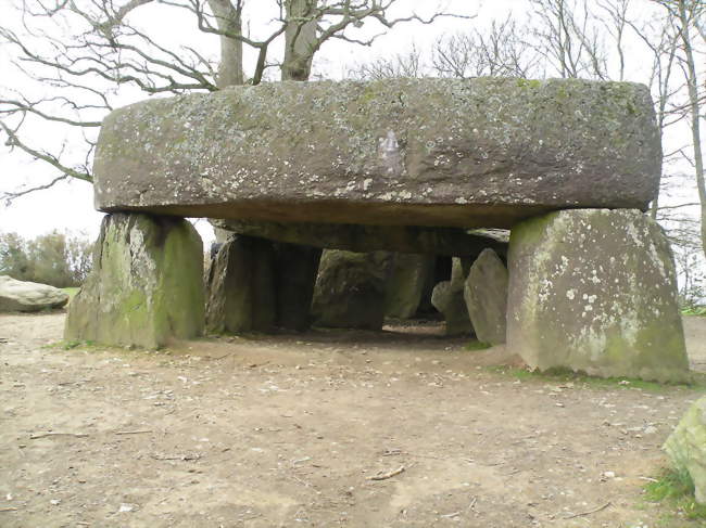 La Roche-aux-Fées - Essé (35150) - Ille-et-Vilaine