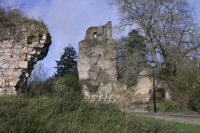 Les ruines du château - Saint-Aubin-du-Cormier (35140) - Ille-et-Vilaine