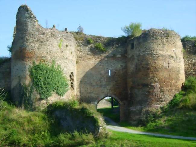 Saut à l'élastique à Cluis