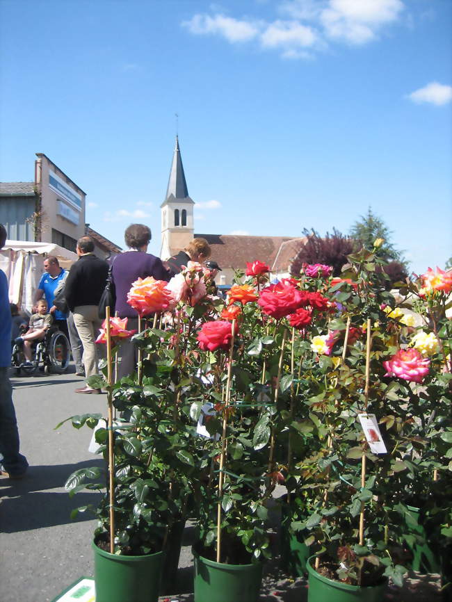 L'église, pendant la foire aux plantes - Mers-sur-Indre (36230) - Indre