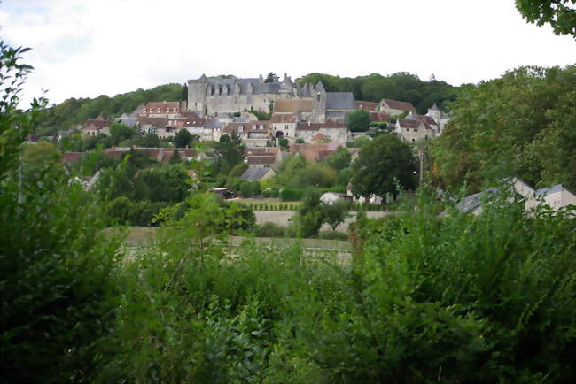 Vue générale - Palluau-sur-Indre (36500) - Indre