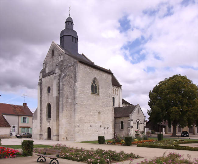 Auxiliaire de vie