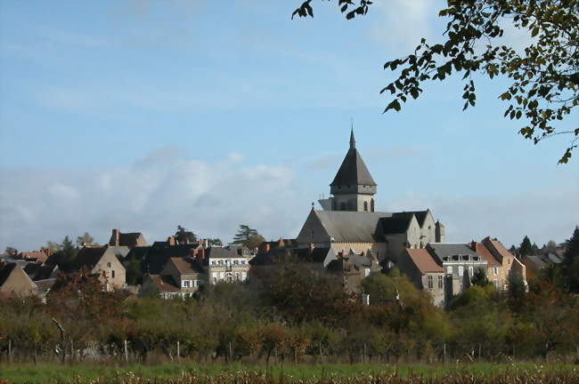 Vue générale de la commune - Saint-Marcel (36200) - Indre