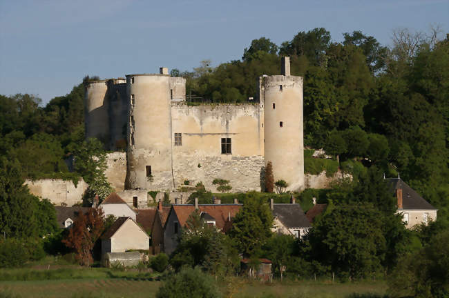 Le château - Villentrois (36600) - Indre