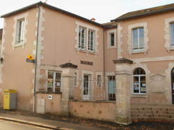 photo Employé polyvalent / Employée polyvalente de restaurant