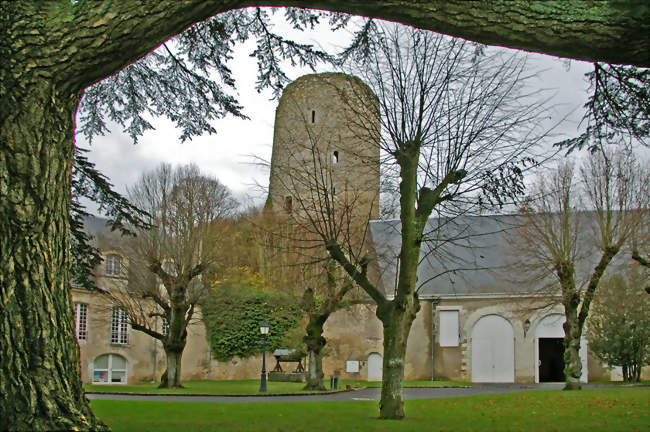 Le château des comtes de Blois - Château-Renault (37110) - Indre-et-Loire