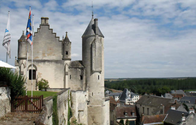 Façade des logis royaux du château de Loches - Loches (37600) - Indre-et-Loire