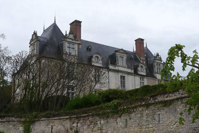 Le Château - Noizay (37210) - Indre-et-Loire