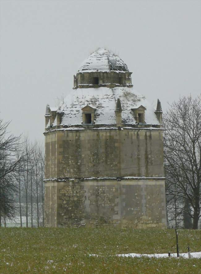 Panzoult - Panzoult (37220) - Indre-et-Loire