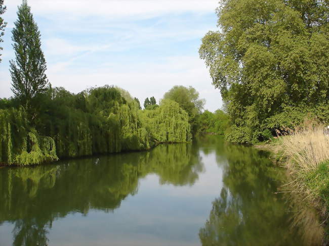L'Indre à Rigny-Ussé - Rigny-Ussé (37420) - Indre-et-Loire