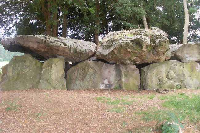 Saint-Antoine-du-Rocher, Dolmen de la Grotte aux Fées - Saint-Antoine-du-Rocher (37360) - Indre-et-Loire