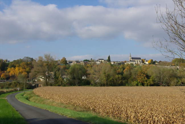 Vue sur Saint-Michel-sur-Loire - Saint-Michel-sur-Loire (37130) - Indre-et-Loire