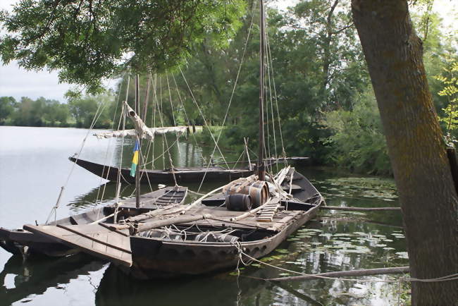 Bateaux traditionnels sur les berges du Cher à Savonnières - Savonnières (37510) - Indre-et-Loire