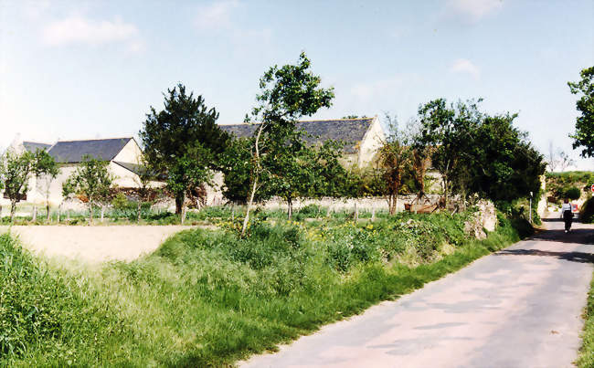 Musée Rabelais, Maison La Devinière - Seuilly (37500) - Indre-et-Loire