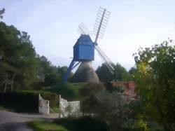 photo Pique-Nique chez le Vigneron Indépendant : Domaine Les Pins