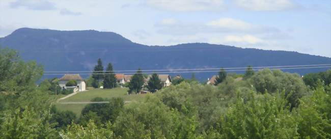 Vue des Avenières depuis le parc de Walibi - Les Avenières (38630) - Isère