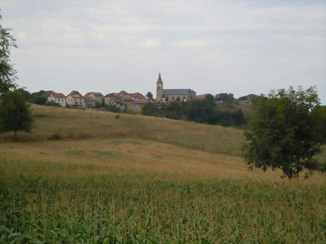Vue générale du village - La Bâtie-Divisin (38490) - Isère